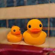 ヒメ日記 2025/06/10 22:56 投稿 橘あず 皇帝別館（こうていべっかん）