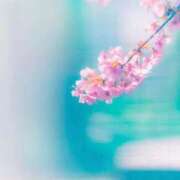 ヒメ日記 2026/02/23 07:19 投稿 なつき CELEB FACE FUKUOKA