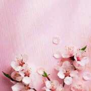 ヒメ日記 2026/04/04 11:09 投稿 なつき CELEB FACE FUKUOKA