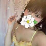 ヒメ日記 2025/08/26 15:34 投稿 しずく チューリップ福井本館