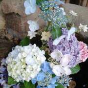 ともえ DUO-F AVANCE福岡