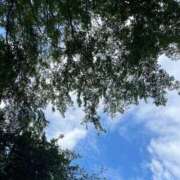 ヒメ日記 2025/10/01 09:57 投稿 ゆり Lounge Yoki東京