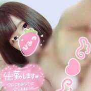 ヒメ日記 2025/10/10 23:40 投稿 くろ My Essentials