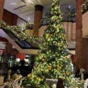 ヒメ日記 2025/11/14 17:00 投稿 くろ My Essentials