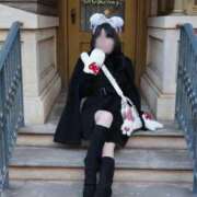 ヒメ日記 2025/11/21 03:10 投稿 くろ My Essentials