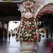 ヒメ日記 2025/11/21 13:40 投稿 くろ My Essentials