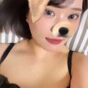 ヒメ日記 2025/11/29 10:00 投稿 くろ My Essentials