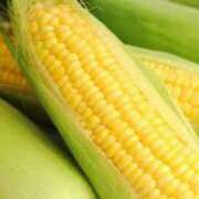 ヒメ日記 2025/06/15 13:41 投稿 おと 華美人