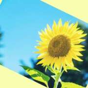 ヒメ日記 2025/07/01 07:06 投稿 おと 華美人