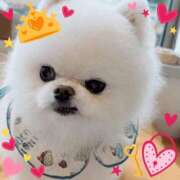 ヒメ日記 2025/07/03 12:19 投稿 おと 華美人