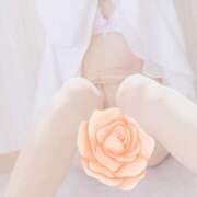 ヒメ日記 2025/07/29 06:51 投稿 おと 華美人