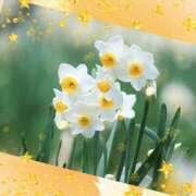 ヒメ日記 2025/12/19 08:13 投稿 おと 華美人