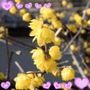 ヒメ日記 2026/01/13 07:14 投稿 おと 華美人