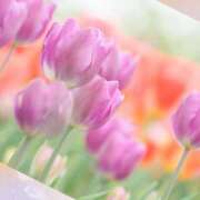 ヒメ日記 2026/01/18 08:05 投稿 おと 華美人