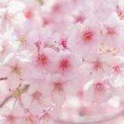 ヒメ日記 2026/02/23 07:29 投稿 おと 華美人