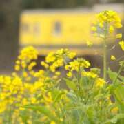 ヒメ日記 2026/03/04 07:11 投稿 おと 華美人