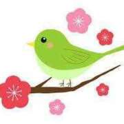 ヒメ日記 2026/03/05 06:47 投稿 おと 華美人