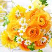 ヒメ日記 2026/03/06 07:33 投稿 おと 華美人