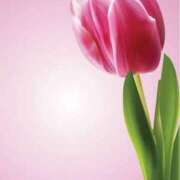 ヒメ日記 2026/04/05 07:04 投稿 おと 華美人