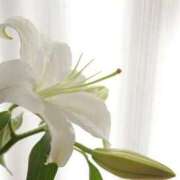 ヒメ日記 2026/04/12 07:07 投稿 おと 華美人