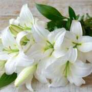 ヒメ日記 2026/04/15 12:02 投稿 おと 華美人