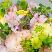 ヒメ日記 2026/10/10 06:33 投稿 おと 華美人