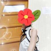 ヒメ日記 2025/07/29 08:27 投稿 右京　りん子 しゅうかつ倶楽部