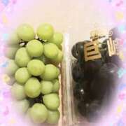 ヒメ日記 2025/09/12 12:37 投稿 右京　りん子 しゅうかつ倶楽部