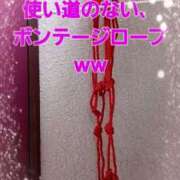 ヒメ日記 2025/09/13 18:19 投稿 右京　りん子 しゅうかつ倶楽部