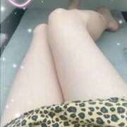 ヒメ日記 2025/08/25 18:42 投稿 間宮湊(まみやみなと) 姫路マダム大奥