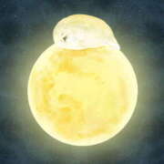 ヒメ日記 2025/11/06 19:32 投稿 間宮湊(まみやみなと) 姫路マダム大奥