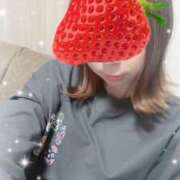 ヒメ日記 2025/11/11 19:02 投稿 間宮湊(まみやみなと) 姫路マダム大奥