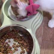 ヒメ日記 2025/06/12 19:53 投稿 れいら One More 奥様　錦糸町店