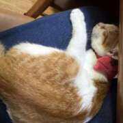 ヒメ日記 2025/07/11 19:32 投稿 れいら One More 奥様　錦糸町店