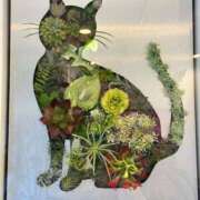 ヒメ日記 2025/07/21 20:41 投稿 れいら One More 奥様　錦糸町店