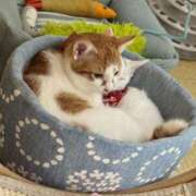 れいら ♡お疲れ様♡ One More 奥様　錦糸町店