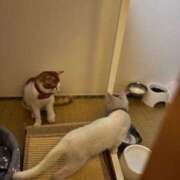 れいら お疲れ様です、最後までありがとございます♡ One More 奥様　錦糸町店