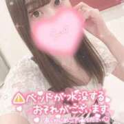 ヒメ日記 2026/04/03 11:19 投稿 カナミ MEGA PALACE(メガパレス）