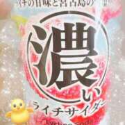 ヒメ日記 2025/07/04 12:31 投稿 月乃 さゆ ハレ系 ひよこ治療院(中州)
