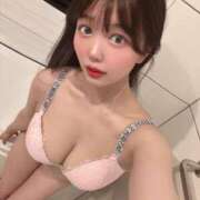 ヒメ日記 2025/06/12 10:15 投稿 ヒナギク きらめけ！にゃんにゃん学園in大宮