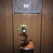 ヒメ日記 2026/01/06 12:44 投稿 さりな S級美女専門　ロイヤルリング