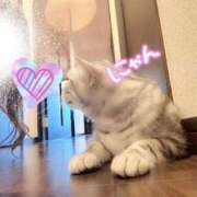 ヒメ日記 2026/08/30 03:07 投稿 ことみ★人妻KISS★ 人妻kiss