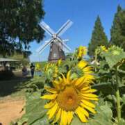 ヒメ日記 2025/07/22 12:15 投稿 そら 柏人妻花壇