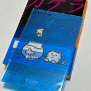 ヒメ日記 2025/08/09 12:01 投稿 そら 柏人妻花壇