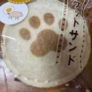 ヒメ日記 2025/09/08 12:36 投稿 そら 柏人妻花壇