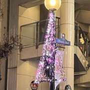 ヒメ日記 2025/11/24 00:30 投稿 そら 柏人妻花壇