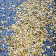 ヒメ日記 2025/12/04 22:13 投稿 そら 柏人妻花壇