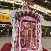 そら 新しい写真 柏人妻花壇