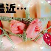 ヒメ日記 2025/06/19 09:49 投稿 亜子 ミセスハンドセラピー