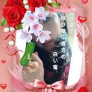 くらん ※無題 アート姫